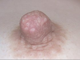 300人の乳首 3　サンプル画像10